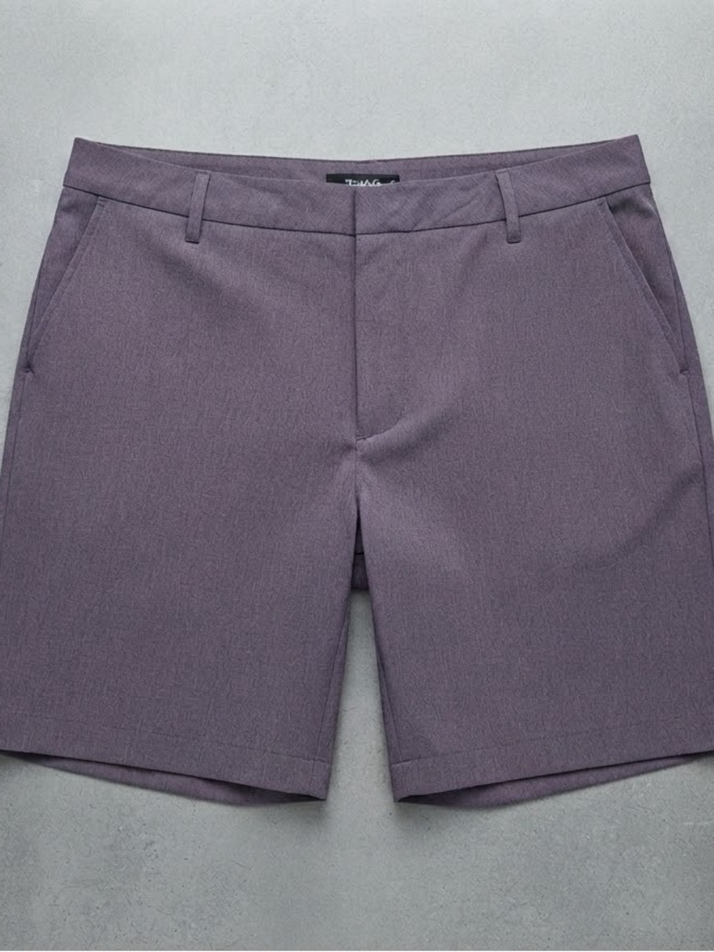 all in motion Men’s Flat-Front Shorts in Plum
